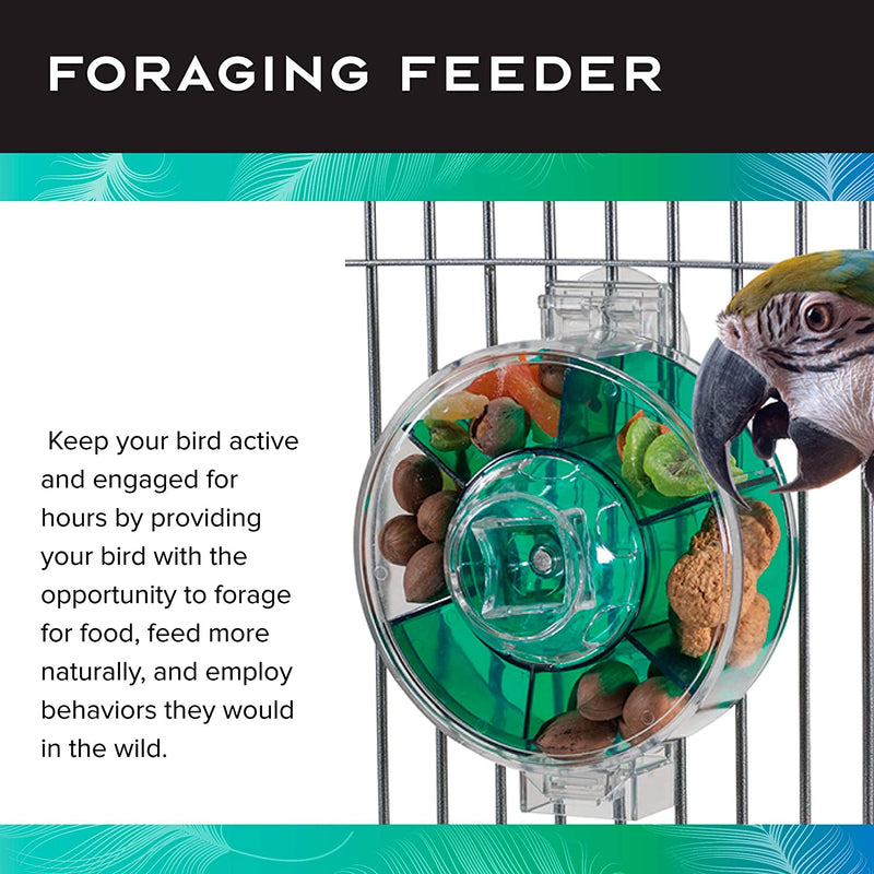 Featherland Paradise Foraging Wheel 2.0 Parrot Foraging Toy LG-XL
