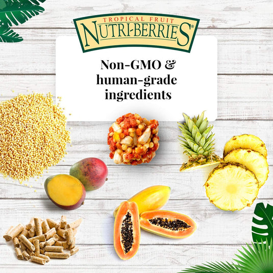 Lafeber's Tropical Fruit Gourmet Nutri-Berries Conure
