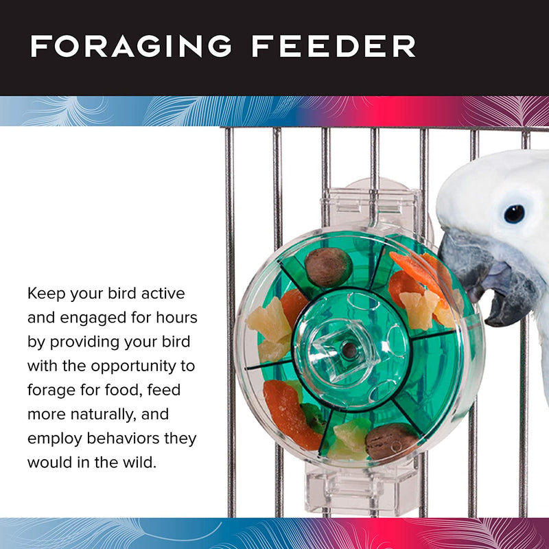 Featherland Paradise Foraging Wheel 2.0 Parrot Foraging Toy LG-XL