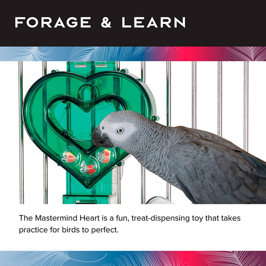 Featherland Paradise Mastermind Foraging Heart Large Parrot Foraging Toy