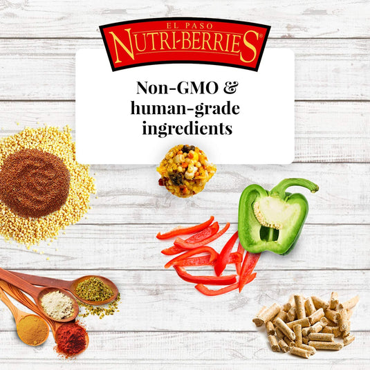 Lafeber's El Paso Gourmet Nutri-Berries for Parrots - Exotic Wings and Pet Things