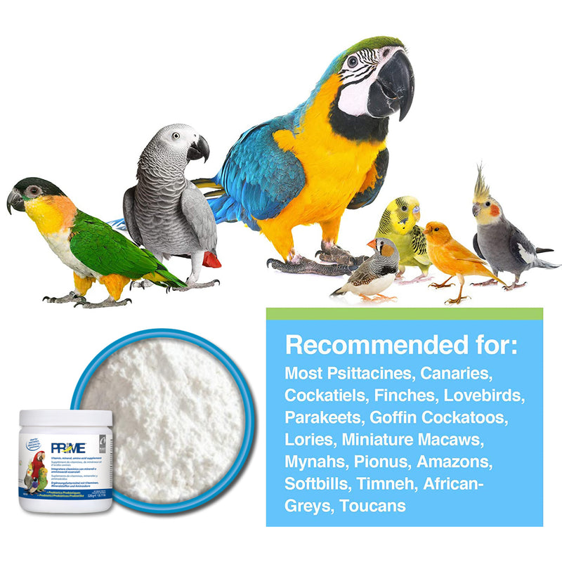 Prime Vitamin Mineral Amino Acid Supplement - Probiotic for All Birds 🍁
