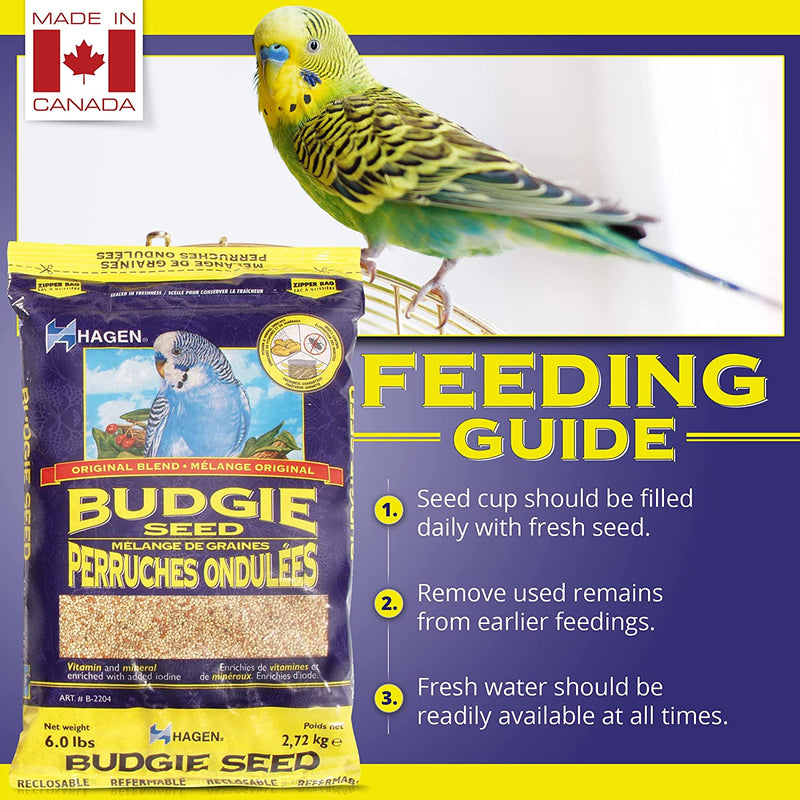 Hagen Parakeet (Budgie) Staple VME Seed - Exotic Wings and Pet Things