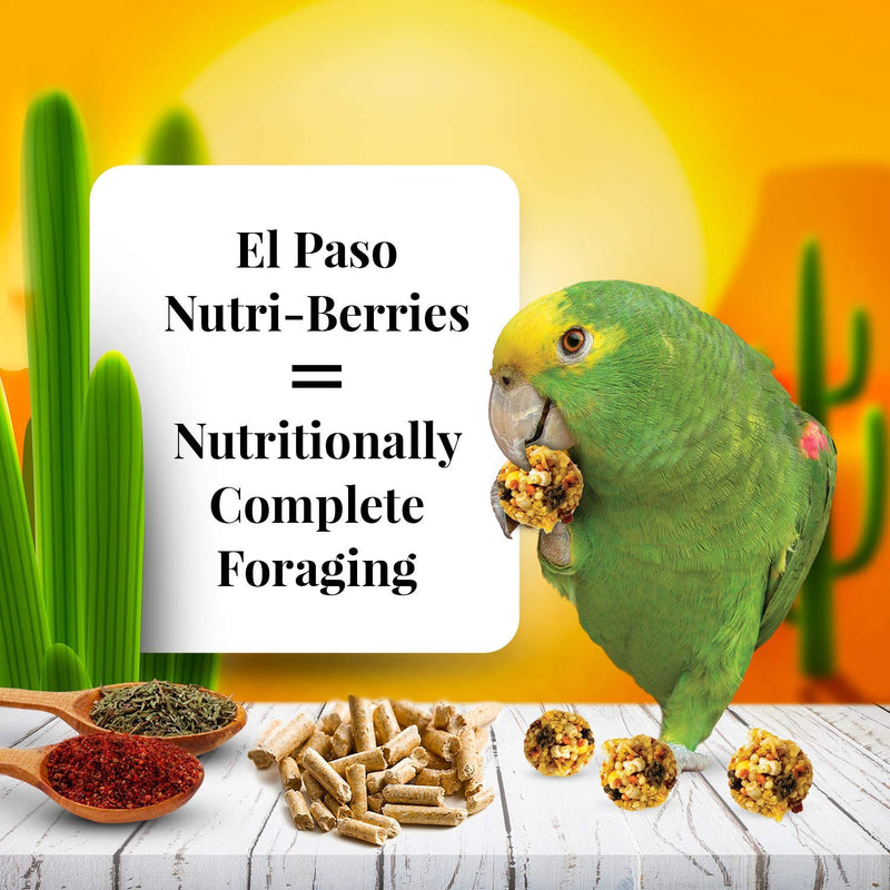 Lafeber's El Paso Gourmet Nutri-Berries for Parrots - Exotic Wings and Pet Things