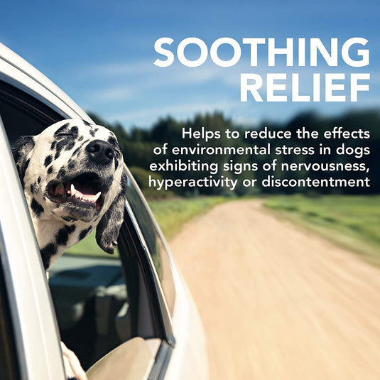 Comfort Calming Dog Soft Chews
