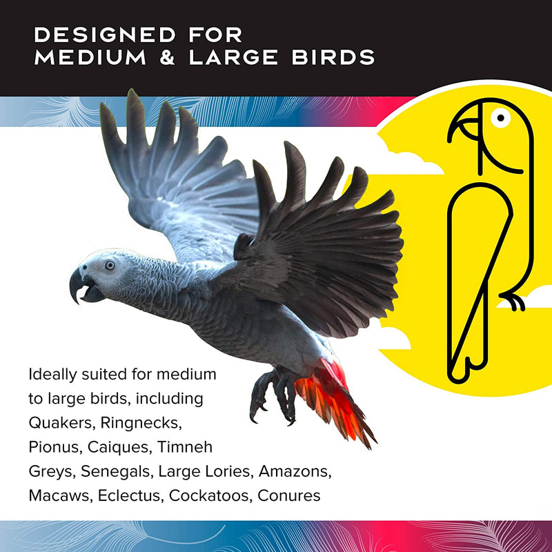 Load image into Gallery viewer, Featherland Paradise Foraging Wheel 2.0 Parrot Foraging Toy LG-XL
