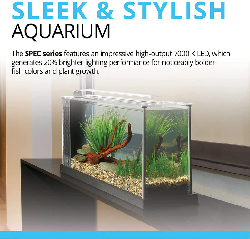 Fluval Spec Aquarium Kit - Black | Store Pickup Only
