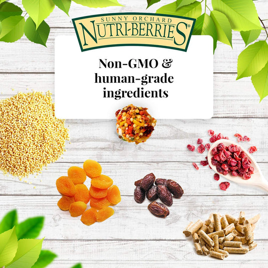 Lafeber's Sunny Orchard Gourmet Nutri-Berries for Small Birds 10oz - Exotic Wings and Pet Things