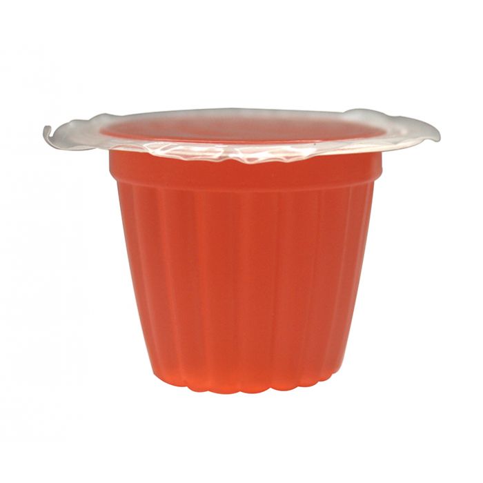Komodo Jelly Pots

