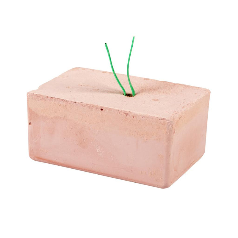 Witte Molen Iodine Block for Budgie/Bird
