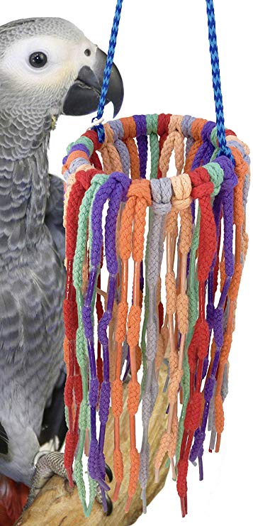 Aronico Aglet Heaven Shoelace Ring - Exotic Wings and Pet Things