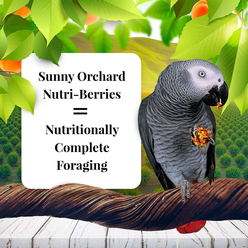 Lafeber's Sunny Orchard Gourmet Nutri-Berries for Parrots - Exotic Wings and Pet Things