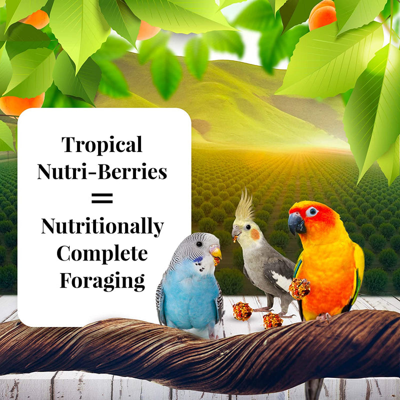 Lafeber's Sunny Orchard Gourmet Nutri-Berries for Small Birds 10oz - Exotic Wings and Pet Things