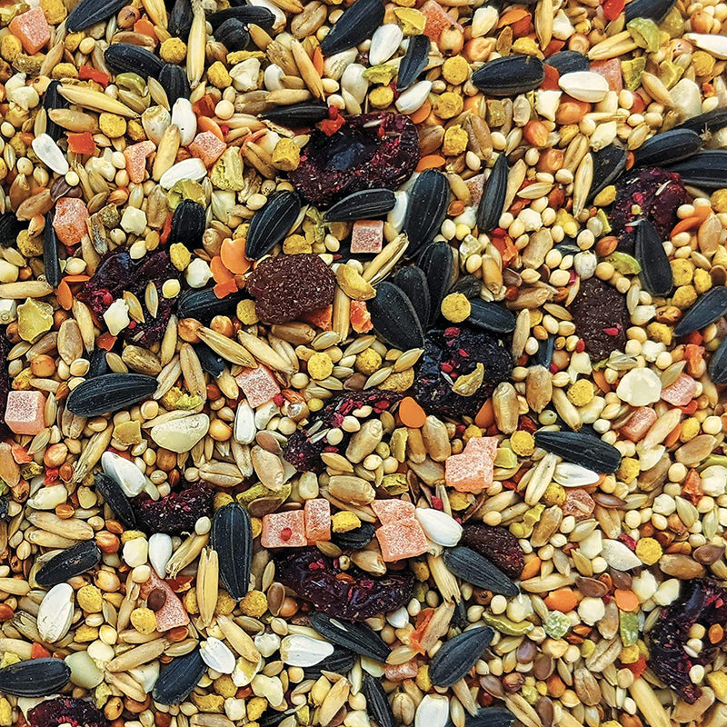 Hagen Gourmet Seed Mix For Cockatiels and Small Hookbill