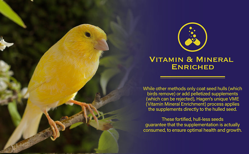 Hagen Canary Staple VME Seed - Exotic Wings and Pet Things