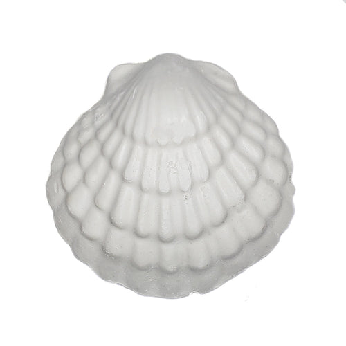 Riga Aquarium Vacation Food Block