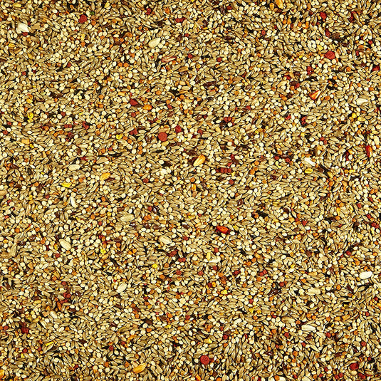 Kaytee Orange Flavored Treat Parakeet 10 oz