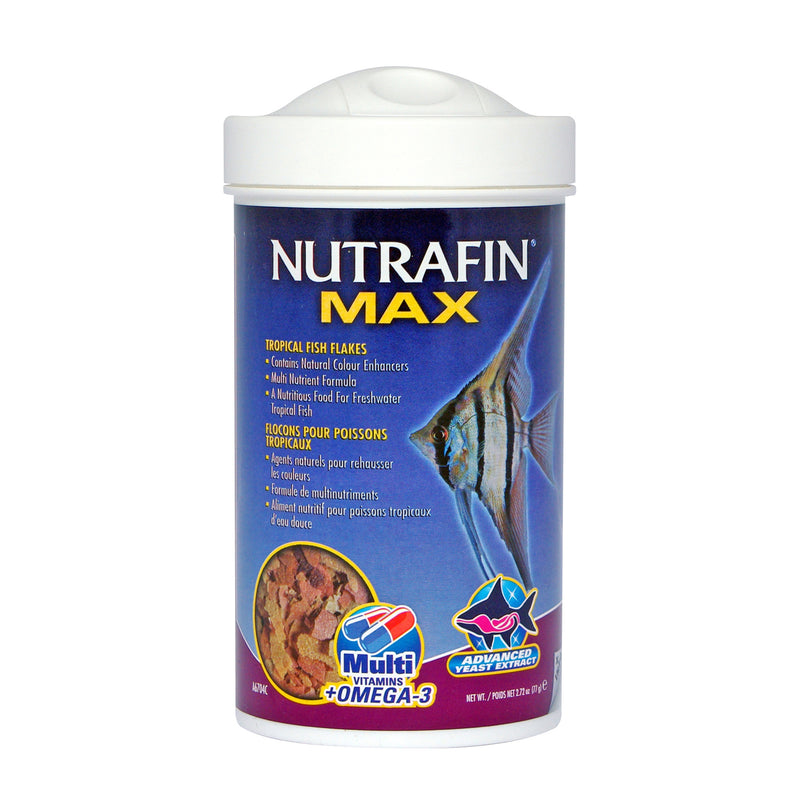 Tropical Fish Flakes
