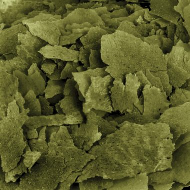 Bug Bites Spirulina Flakes