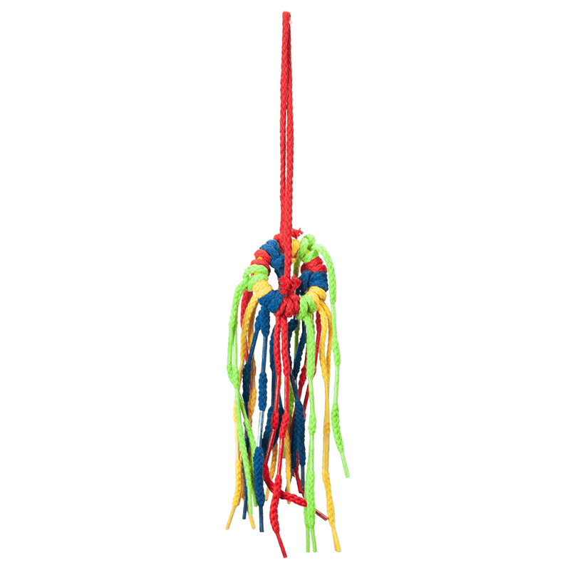A&E Cage Co. Shoelace Shower Bird Toy