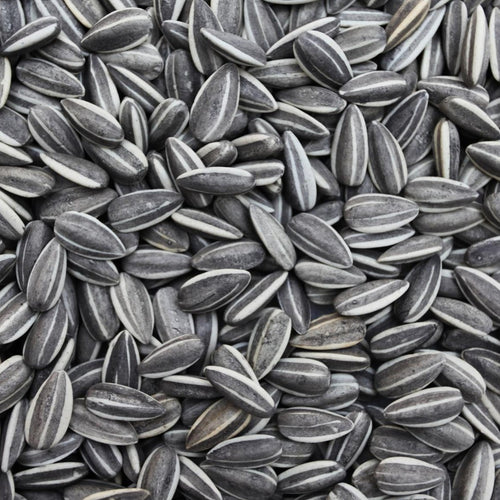 Striped Sunflower Seed 🍁
