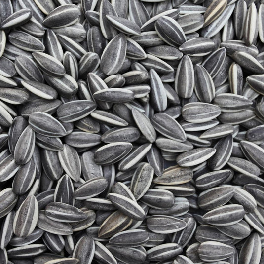 Striped Sunflower Seed 🍁