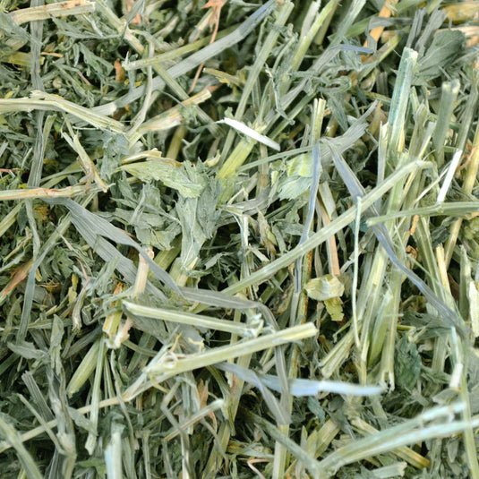 Oxbow Alfalfa Hay for Small Pets
