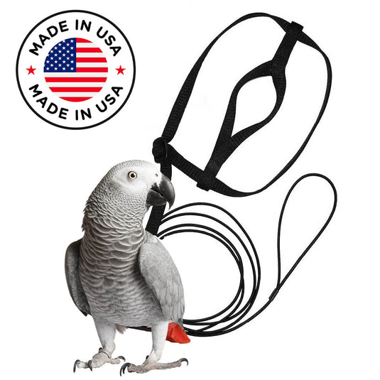The Aviator Harness Medium (Congo Grey / Large Amazon / Eclectus)