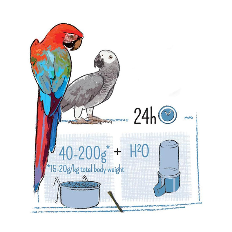 Witte Molen Puur Parrot Seed Mix
