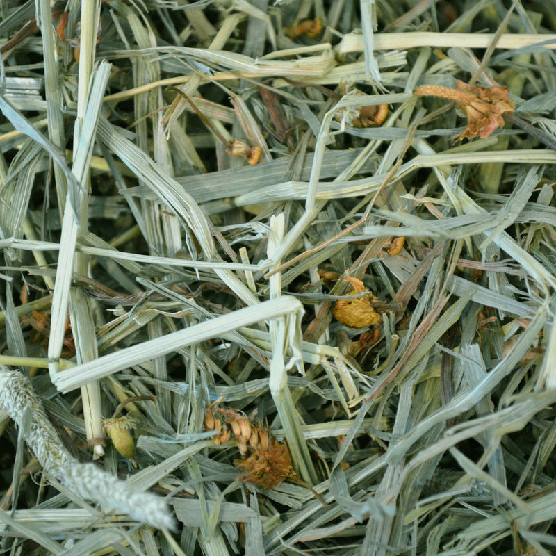 Oxbow Botanical Hay
