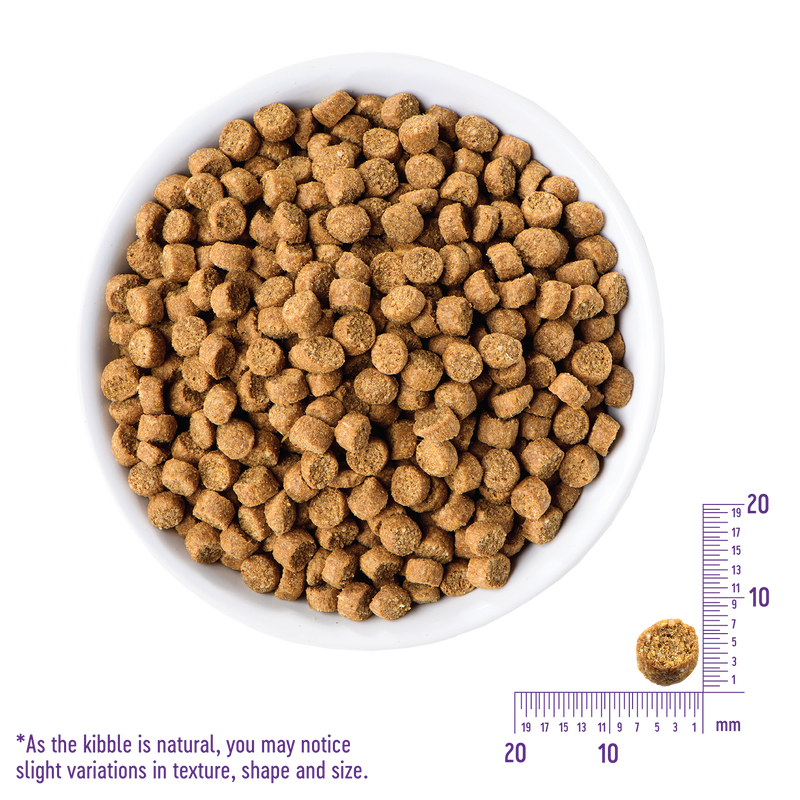 Wellness CORE Grain Free Kitten: Deboned Turkey, Turkey Meal & Deboned Chicken Dry Cat Food
