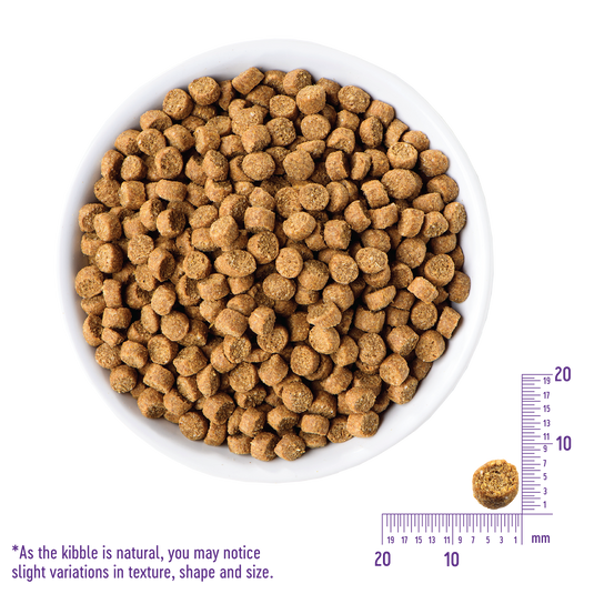 Wellness CORE Grain Free Kitten: Deboned Turkey, Turkey Meal & Deboned Chicken Dry Cat Food