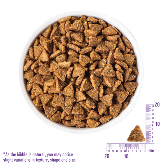 Wellness Complete Health Small Breed Senior Turkey Dry Dog Food 4 lbs