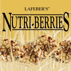 Lafeber's Classic Nutri-Berries for Parrots - Exotic Wings and Pet Things
