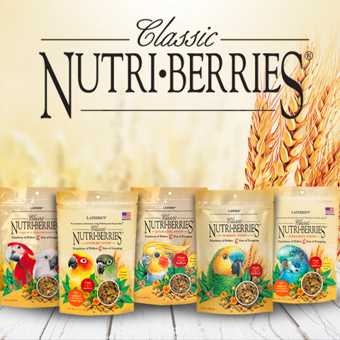 Lafeber's Classic Nutri-Berries Parakeet
