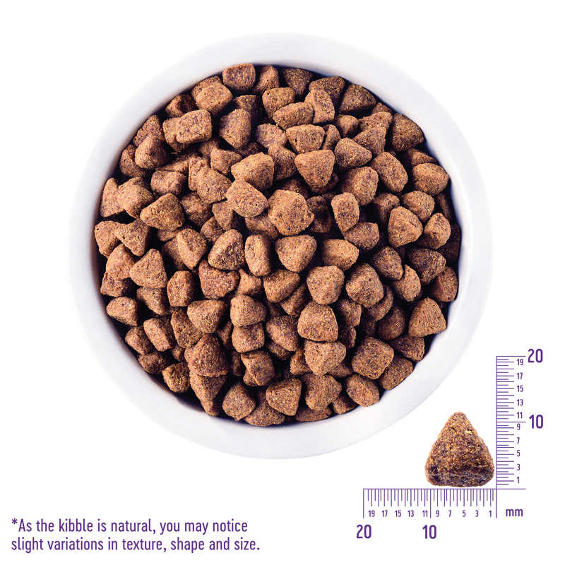 Wellness CORE Reduced Fat Dog Food - Turkey & Chicken
