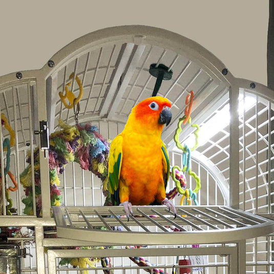 EZ PetLight with ChewGuard Full Spectrum LED For Hook Billed Birds - 18" / 24"