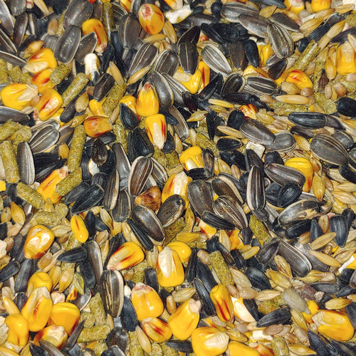 Small Animal Mix by Conestogo Bird Seed Company - Exotic Wings and Pet Things