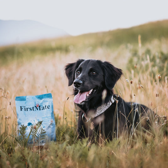 FirstMate Grain Free Limited Ingredient Pacific Ocean Fish Large Breed Dog Food 11.36 kg