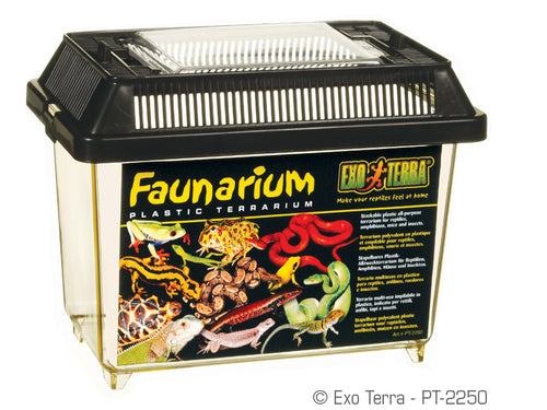 Exo Terra Faunarium - Exotic Wings and Pet Things