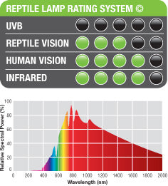 Halogen Basking Spot Reptile Bulb
