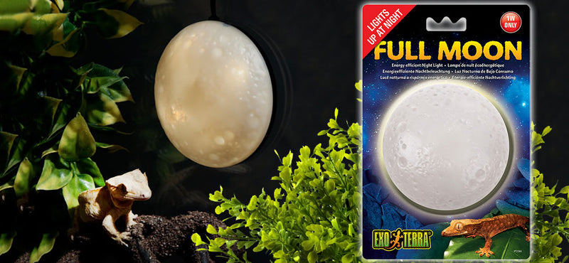 Exo Terra Reptile Full Moon

