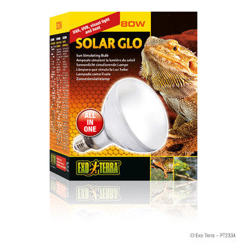 Exo Terra Reptile Solar Glo / Sun Stimulating Light Bulb