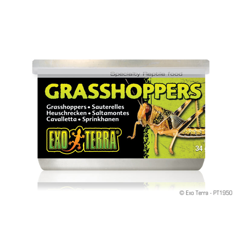 Reptile Canned Grasshoppers