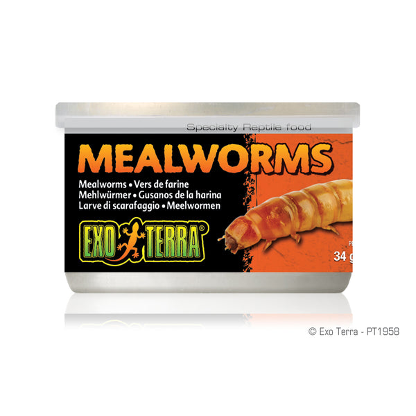 Exo Terra Reptile Mealworms Feeders