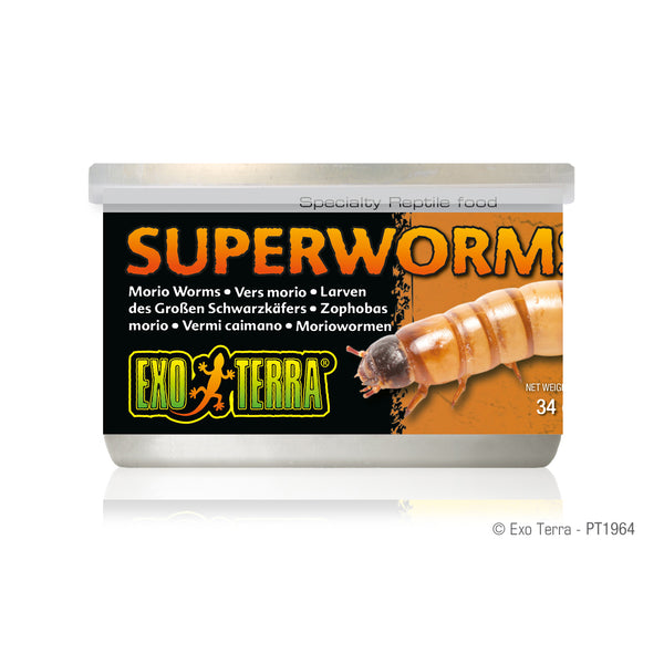 Reptile Canned Superworms