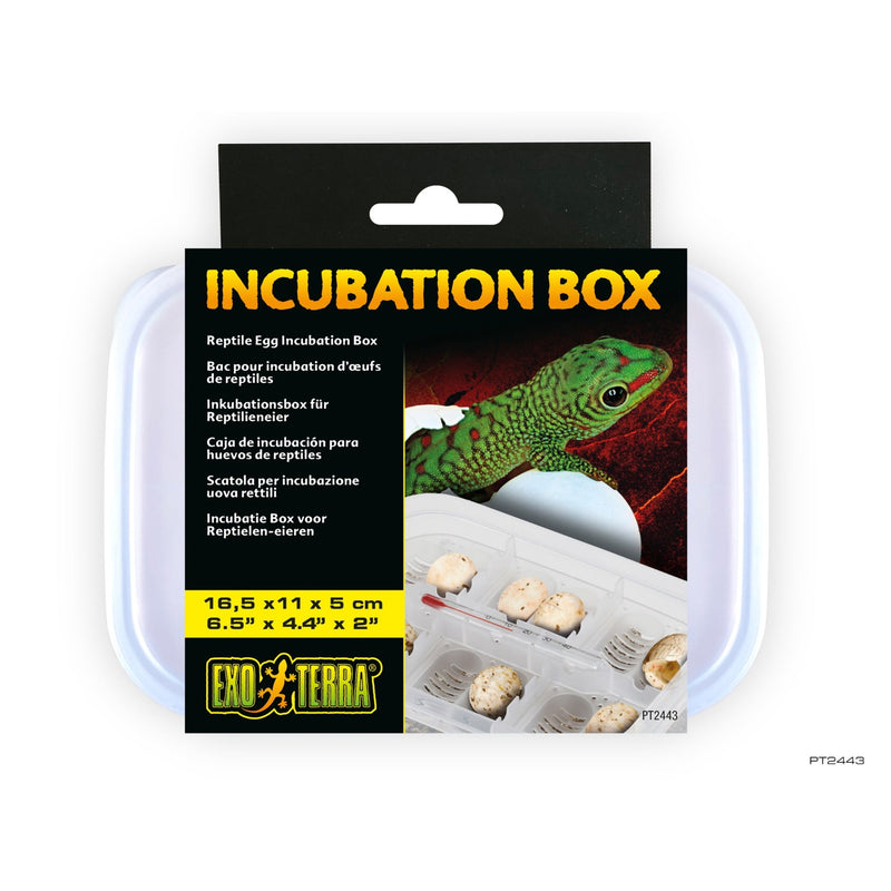 Reptile Incubation Box