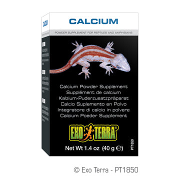 Exo Terra Calcium Powder Supplement - Exotic Wings and Pet Things
