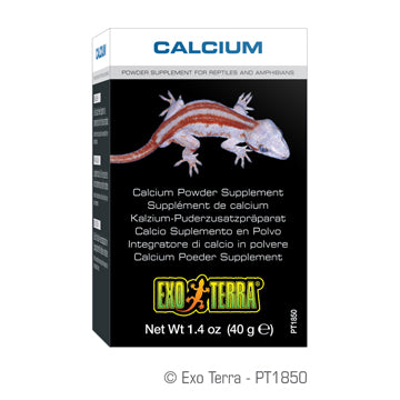 Exo Terra Calcium Powder Supplement - Exotic Wings and Pet Things