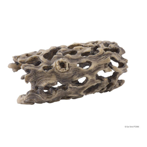 Reptile Cholla Cactus Skeleton SM-MED-LG